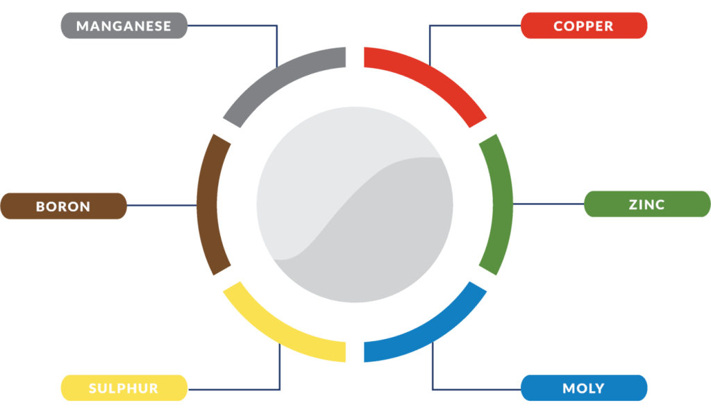 Glaze Micronutients Diagram
